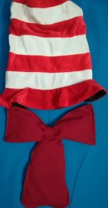 Kids Costumes to Hire - Dr Seuss - Cat in the Hat